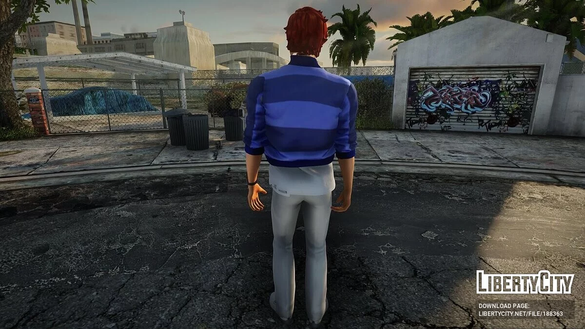 Collection of skins (VCS) #36 / GTA San Andreas