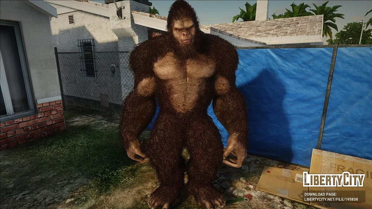 Coleção de skins de personagens místicos v1.0 / GTA San Andreas