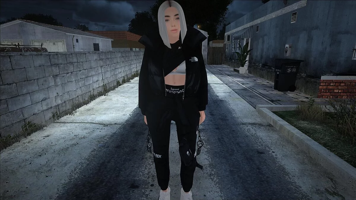 Grand collection de skins féminins / GTA San Andreas