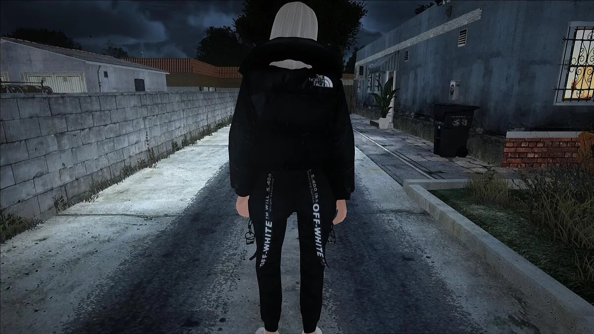 Grand collection de skins féminins / GTA San Andreas