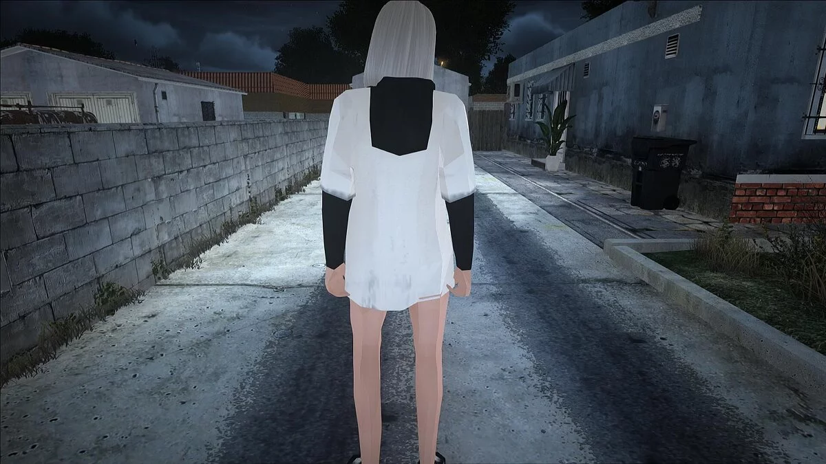 Grand collection de skins féminins / GTA San Andreas