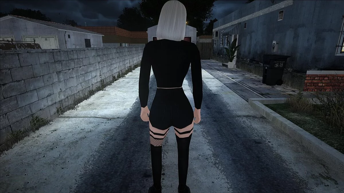 Grand collection de skins féminins / GTA San Andreas
