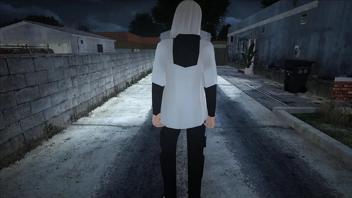 Grand collection de skins féminins / GTA San Andreas