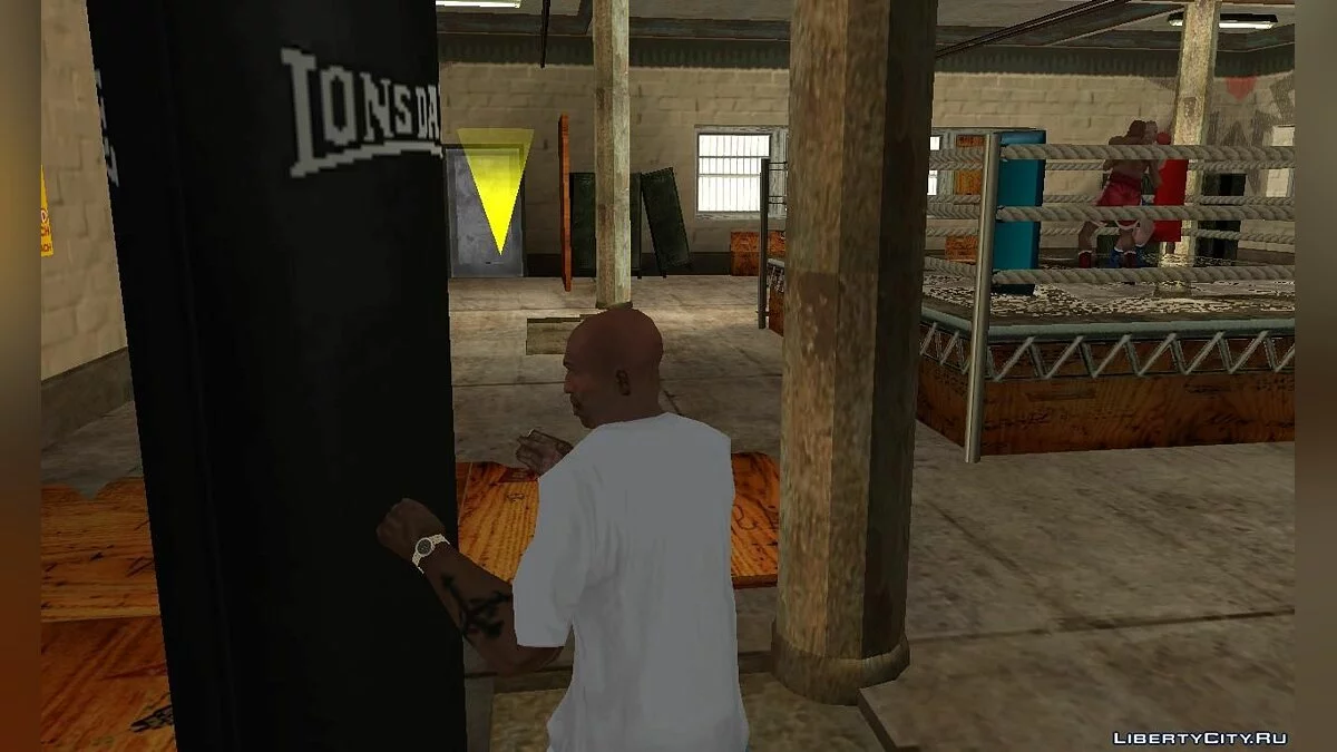 Боксёрская груша LONSDALE  / GTA San Andreas