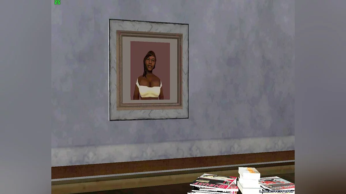 High-Quality Photos of Carl's House / GTA San Andreas