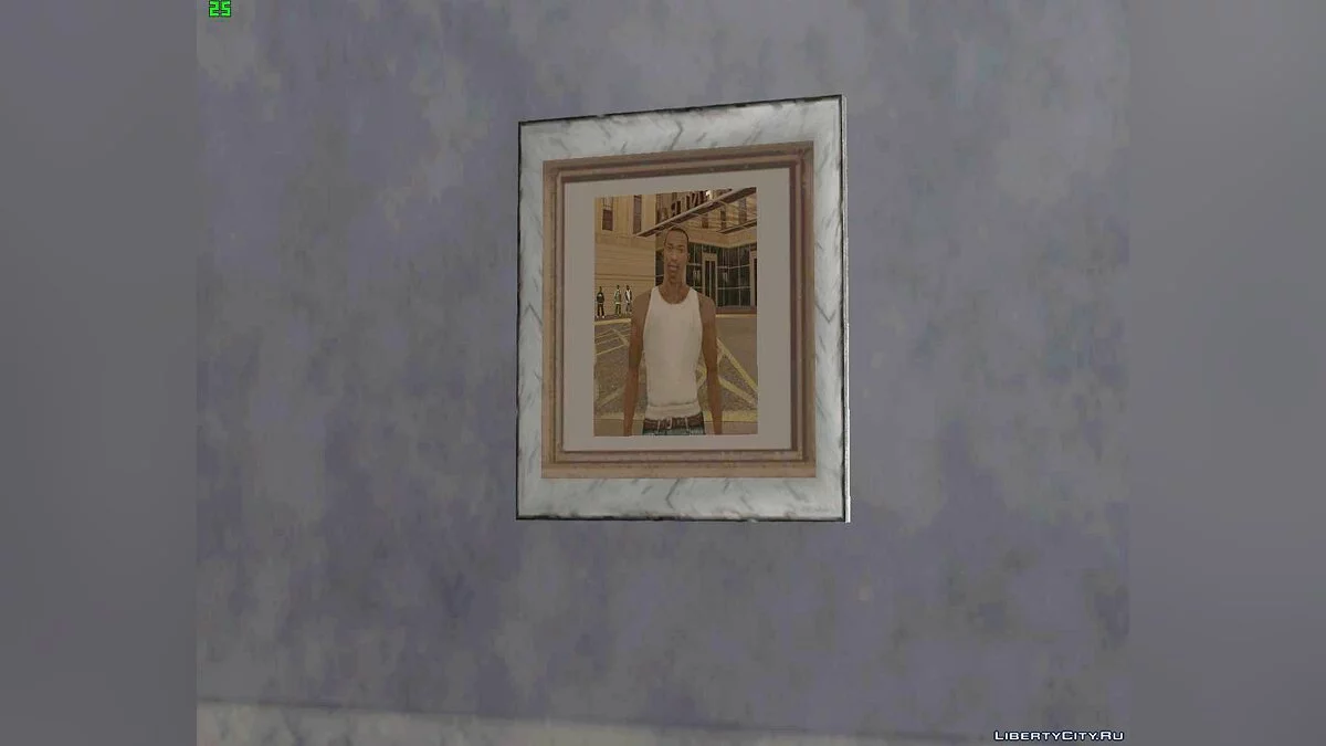 High-Quality Photos of Carl's House / GTA San Andreas
