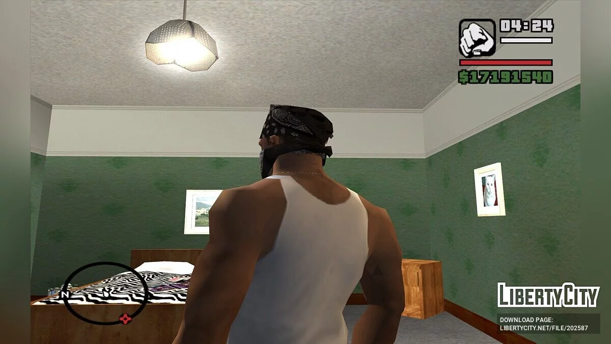 Новий будинок Сі-джея / GTA San Andreas