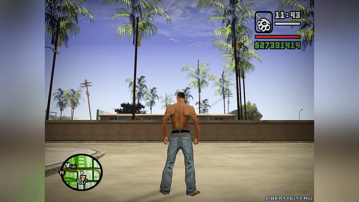 Jeans from the Beta Version / GTA San Andreas