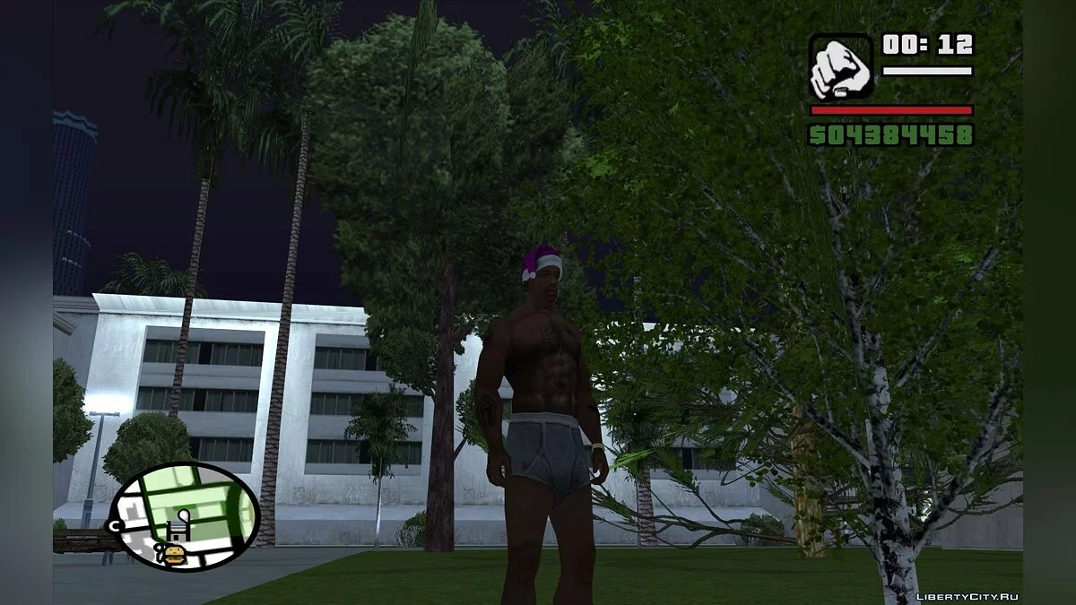 Gray Underwear / GTA San Andreas