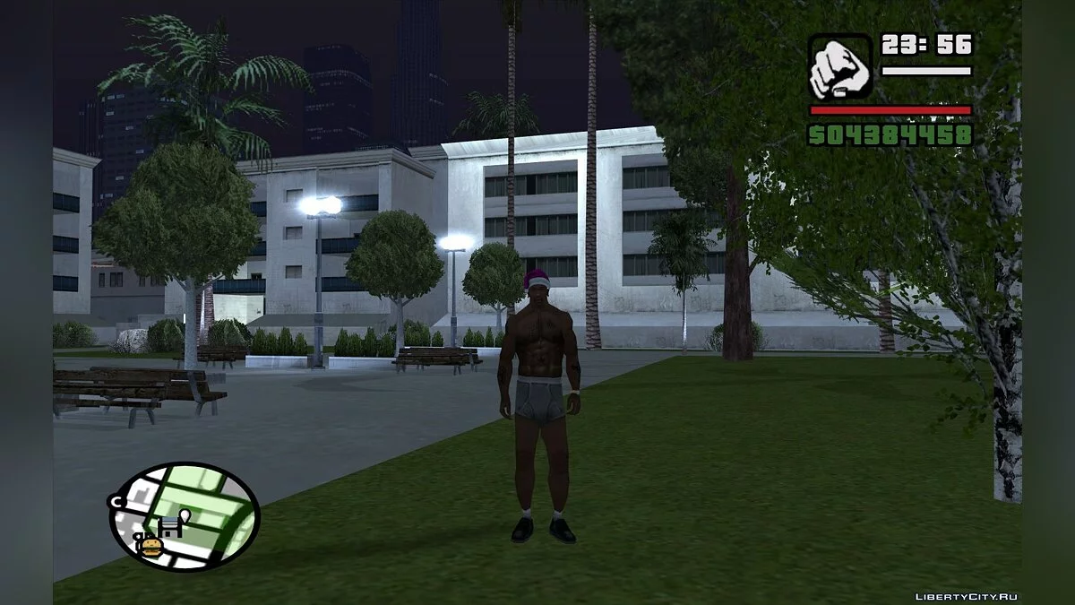 Gray Underwear / GTA San Andreas