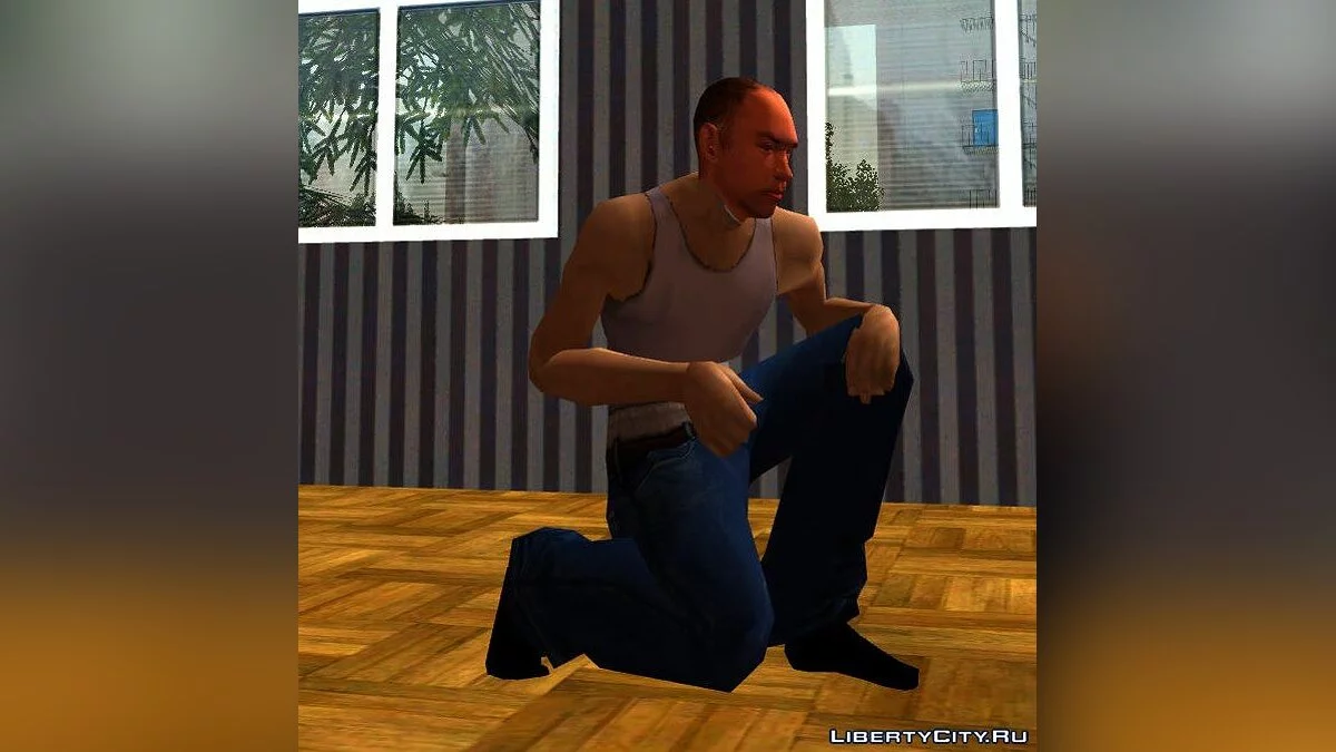 Пак носков / GTA San Andreas