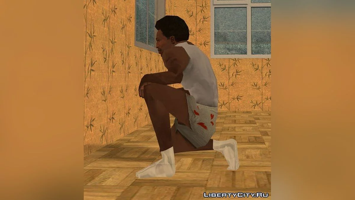 条纹袜子 / GTA San Andreas