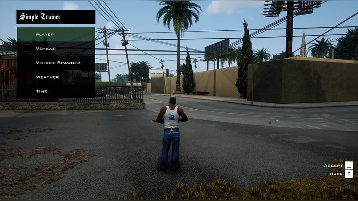 Grand Theft Auto: San Andreas Cheats & Trainers for PC