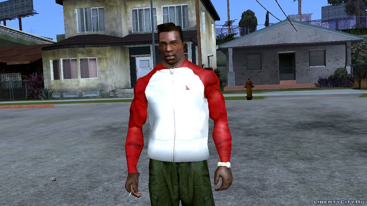 Large Clothing and Tattoo Collection / GTA San Andreas (iOS, Android)