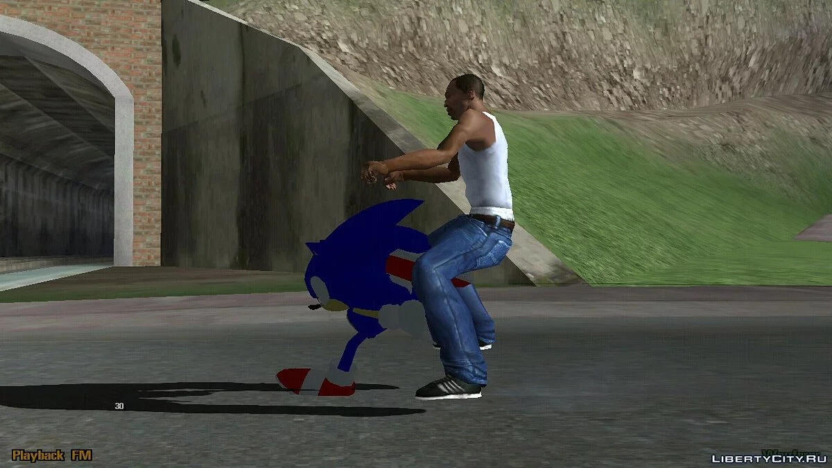 Sonic Bike (тільки DFF) / GTA San Andreas (iOS, Android)