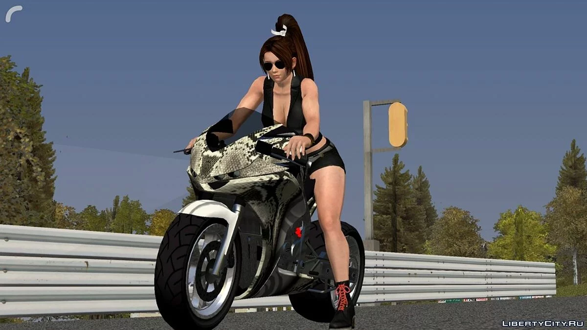 Motorcycle / GTA San Andreas (iOS, Android)