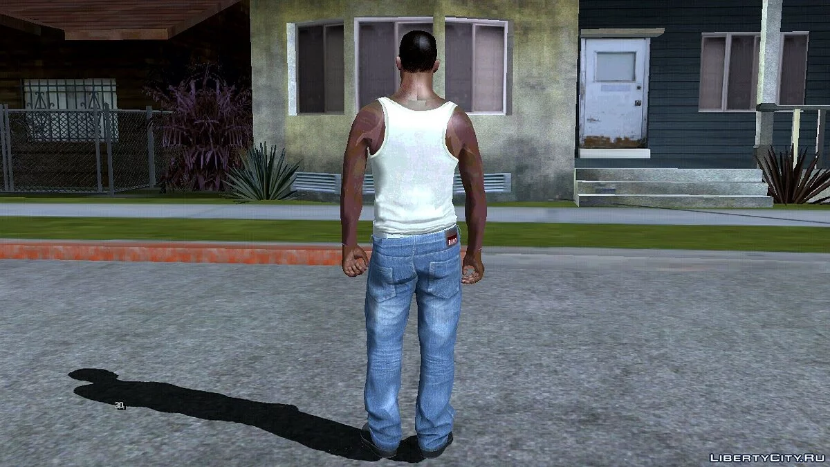 GTA 5中的卡尔·约翰逊 / GTA San Andreas (iOS, Android)
