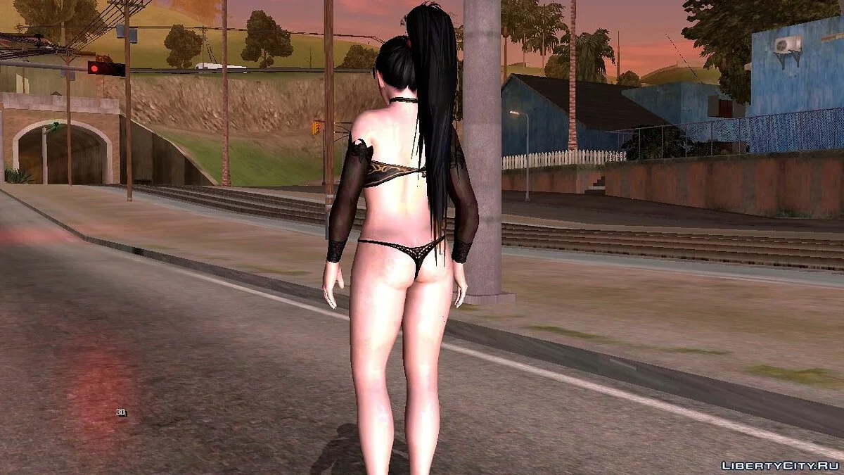 Моміджі Прем'єр / GTA San Andreas (iOS, Android)
