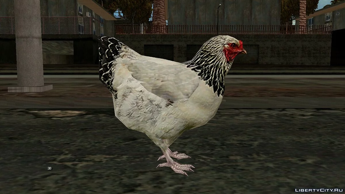 Chicken / GTA San Andreas (iOS, Android)