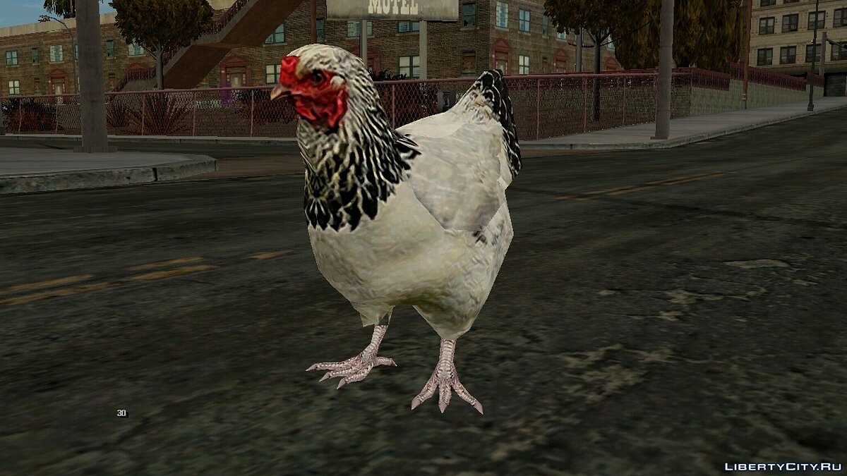 Download Hen for GTA San Andreas (iOS, Android)