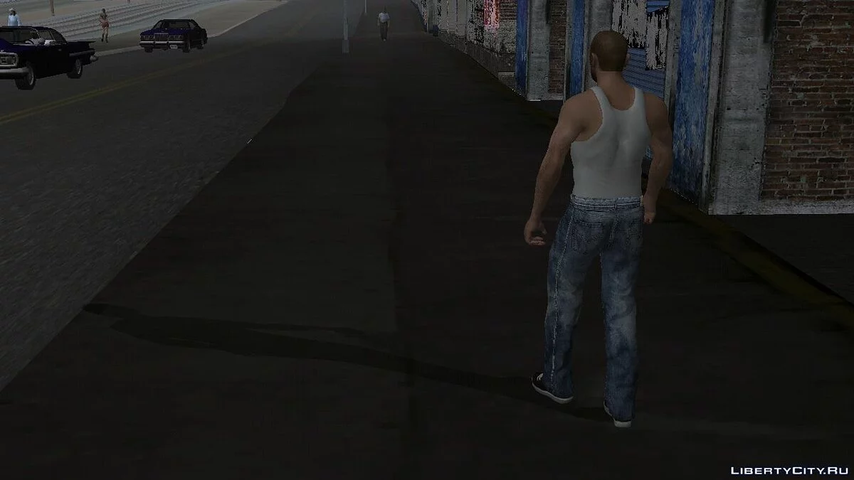 Niko Bellic / GTA San Andreas (iOS, Android)