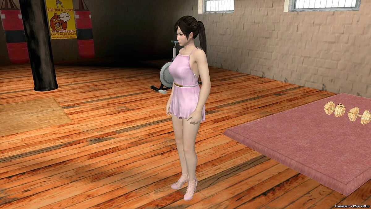 Kokoro Casual v5 / GTA San Andreas (iOS, Android)