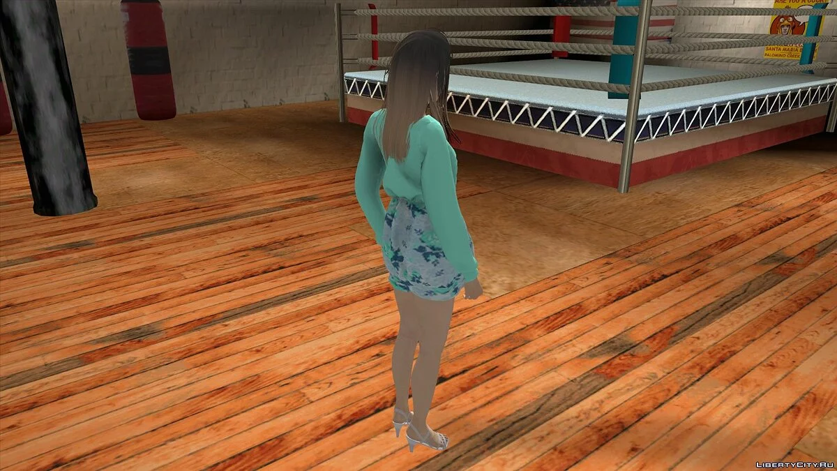 Jin / GTA San Andreas (iOS, Android)