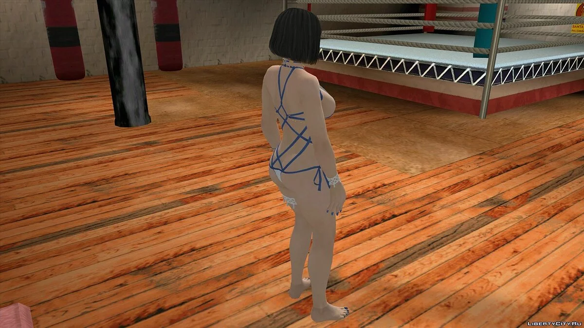 DOAXVV Momiji 比基尼 / GTA San Andreas (iOS, Android)
