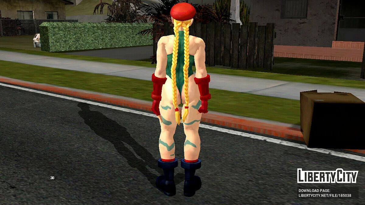 来自《街头霸王 4》的嘉米 / GTA San Andreas (iOS, Android)