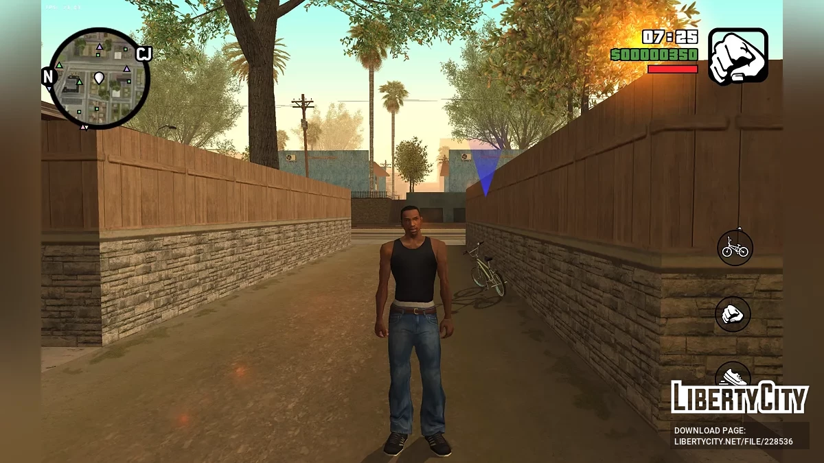 CJ from RoSa Project Evolved / GTA San Andreas (iOS, Android)