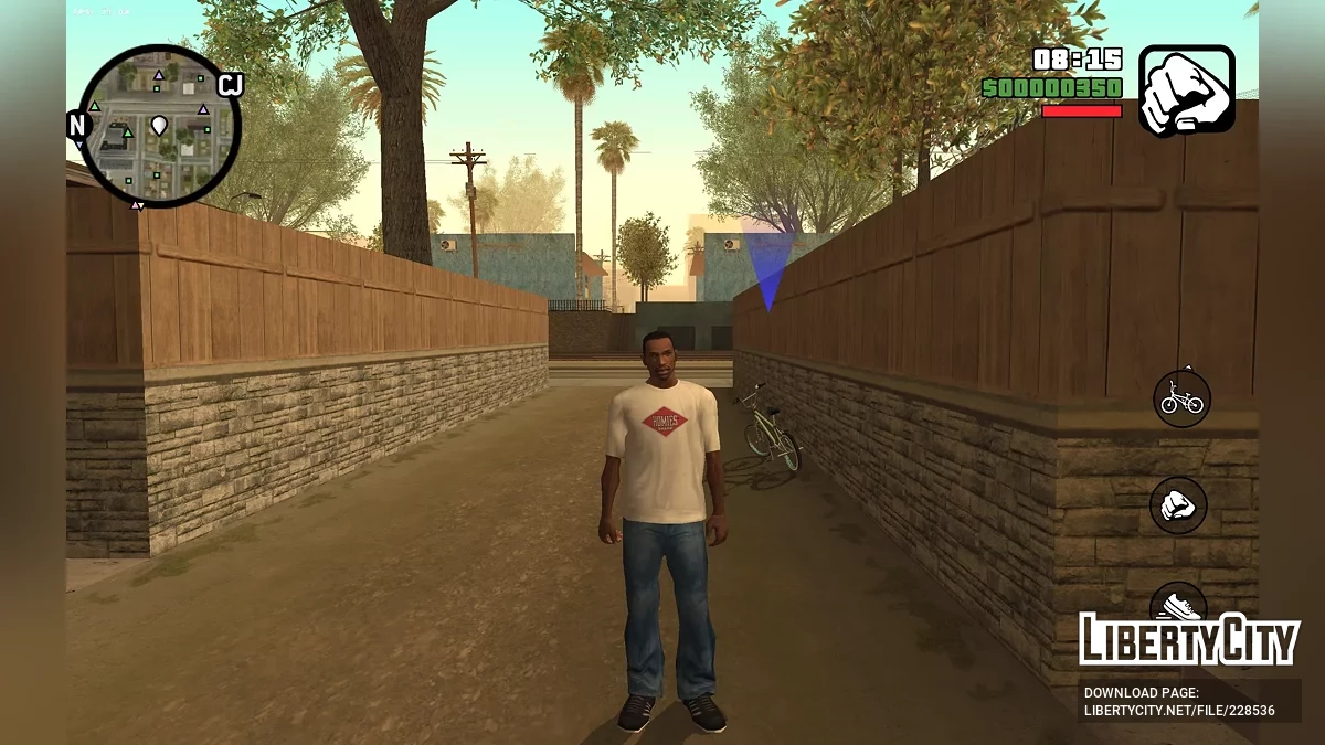 CJ from RoSa Project Evolved / GTA San Andreas (iOS, Android)