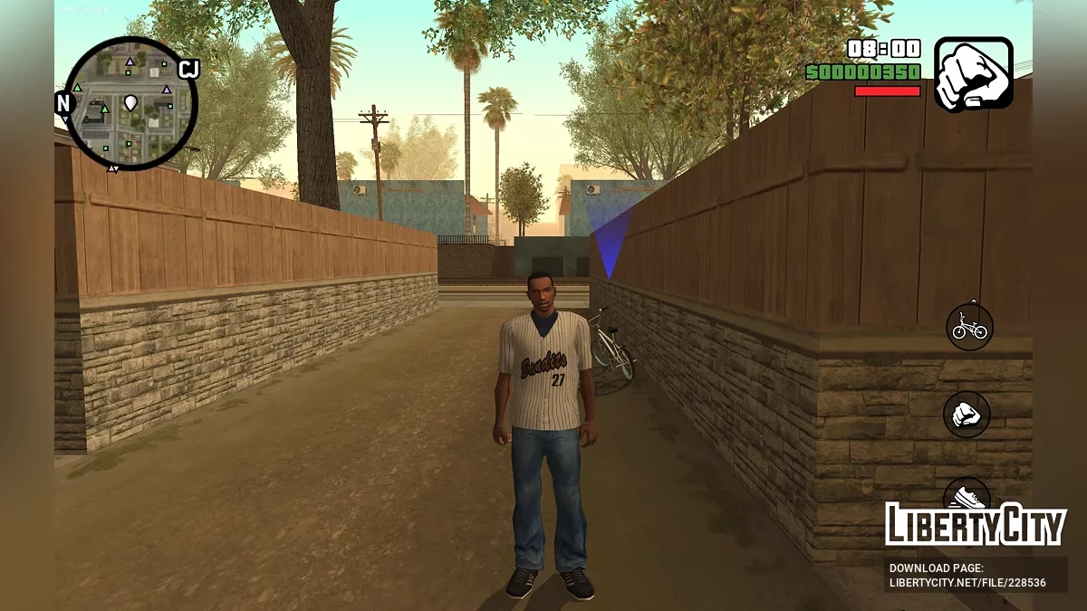 CJ from RoSa Project Evolved / GTA San Andreas (iOS, Android)