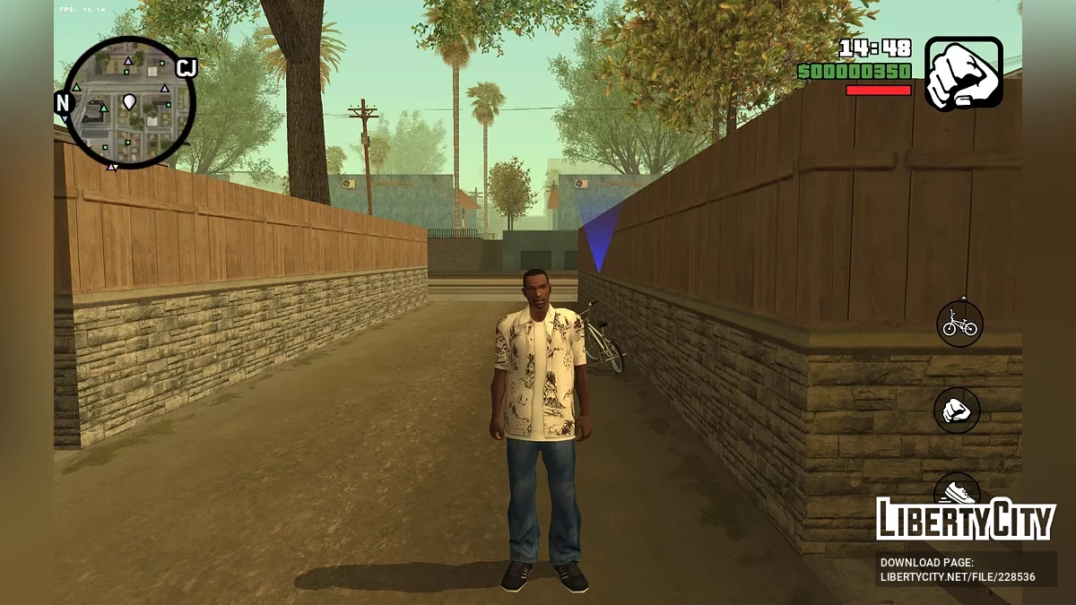 CJ from RoSa Project Evolved / GTA San Andreas (iOS, Android)