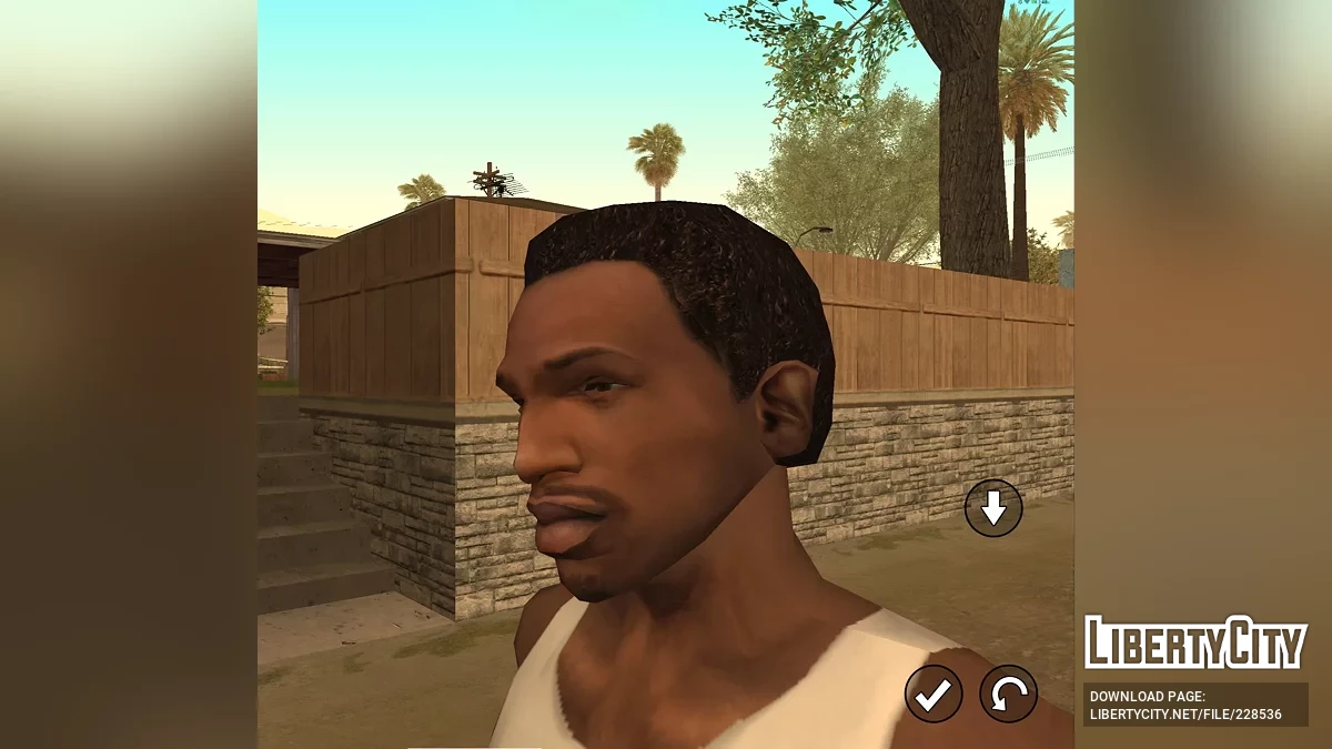 CJ from RoSa Project Evolved / GTA San Andreas (iOS, Android)
