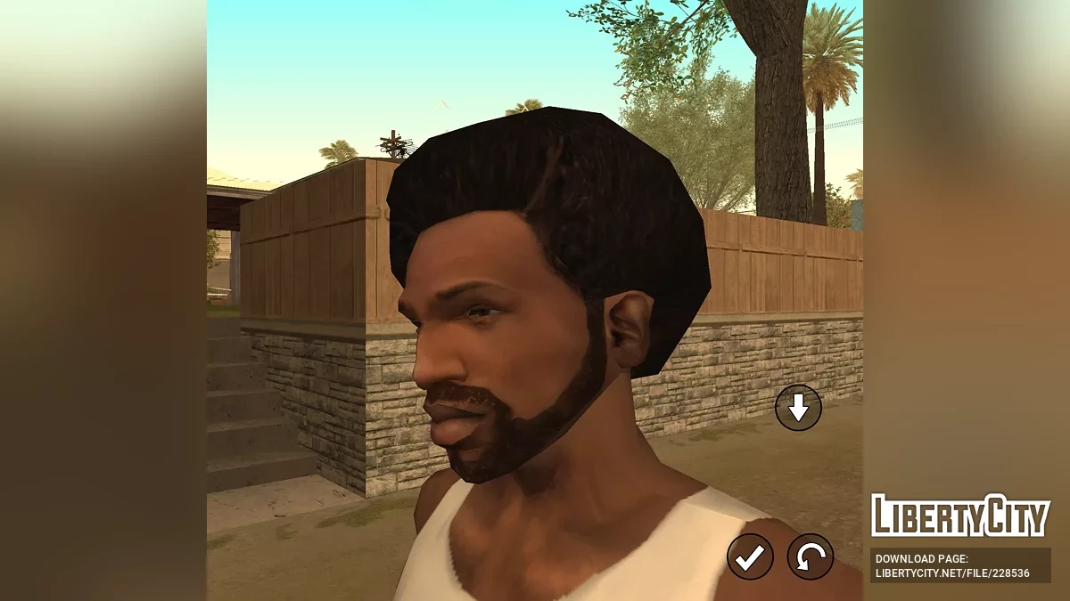 CJ from RoSa Project Evolved / GTA San Andreas (iOS, Android)