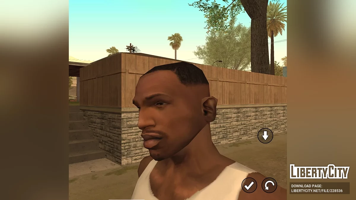 CJ from RoSa Project Evolved / GTA San Andreas (iOS, Android)