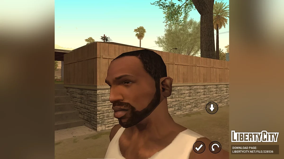 CJ from RoSa Project Evolved / GTA San Andreas (iOS, Android)