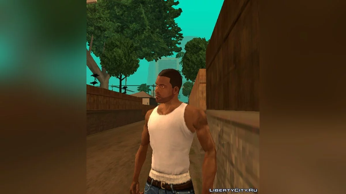 Franklins Gesicht / GTA San Andreas (iOS, Android)