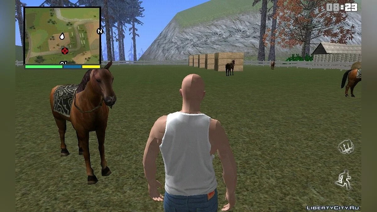 Landleben / GTA San Andreas (iOS, Android)