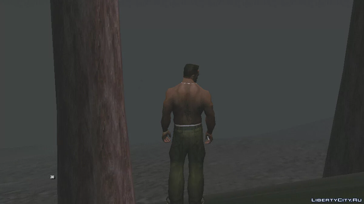 Brouillard épais / GTA San Andreas (iOS, Android)