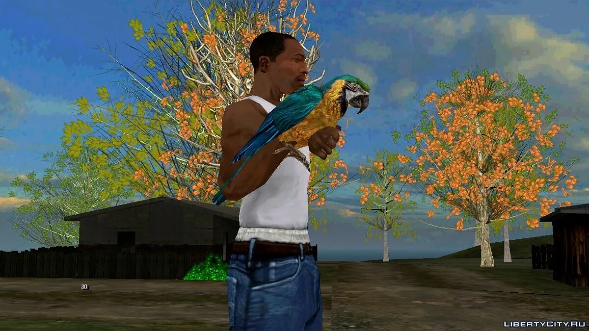 Parrot on hand / GTA San Andreas (iOS, Android)