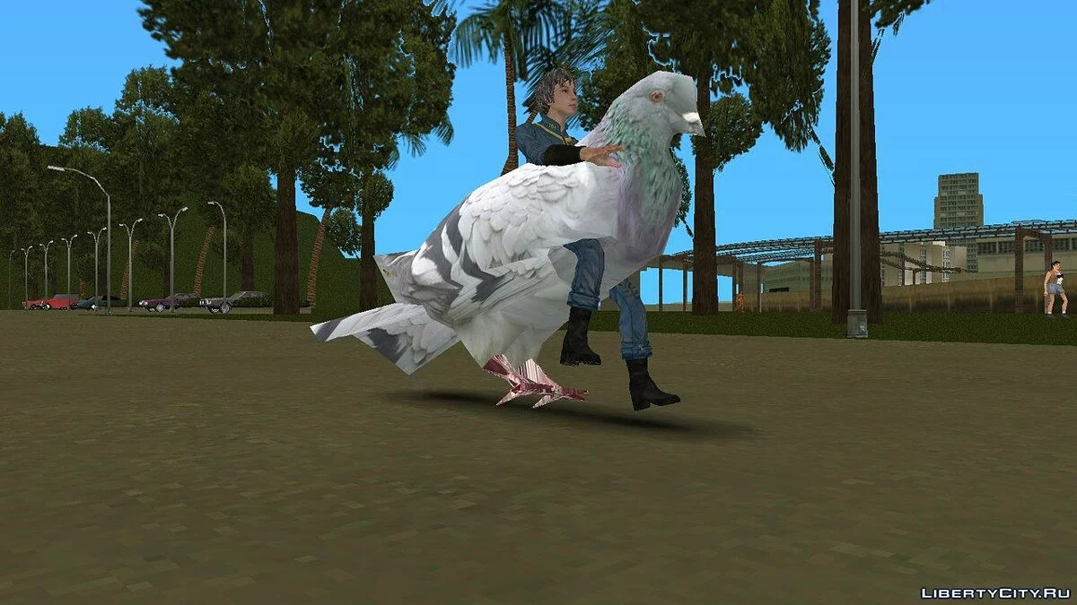 Pigeon de Grand Theft Auto IV / GTA Vice City