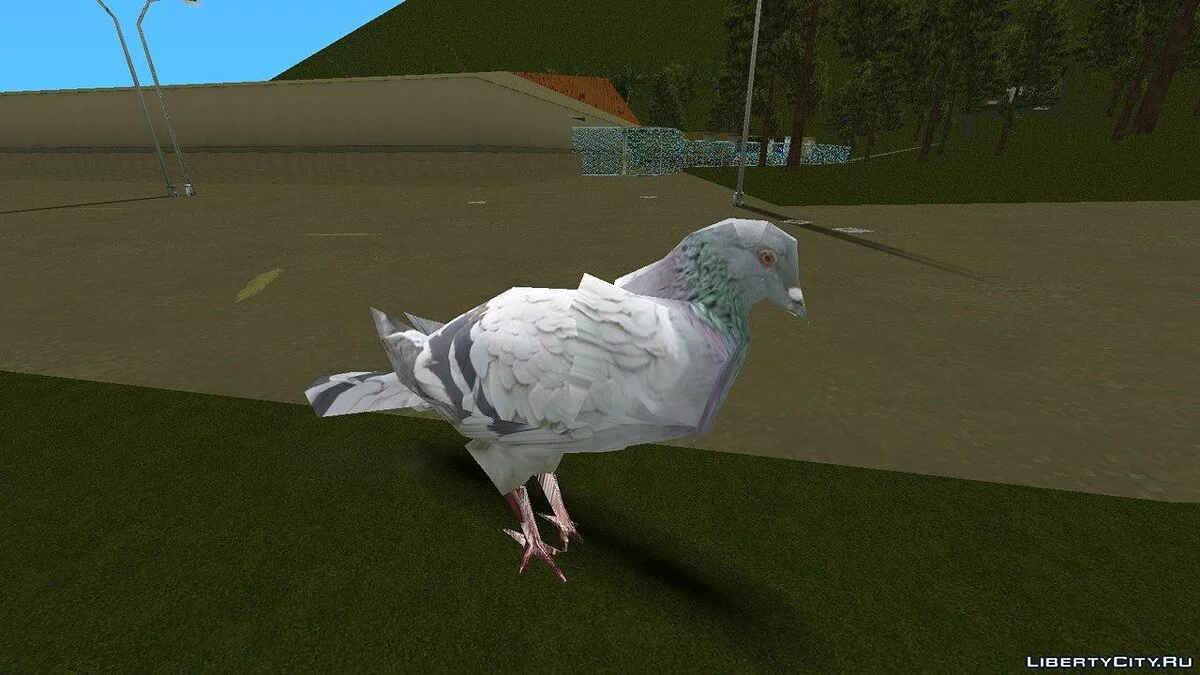 Pigeon de Grand Theft Auto IV / GTA Vice City