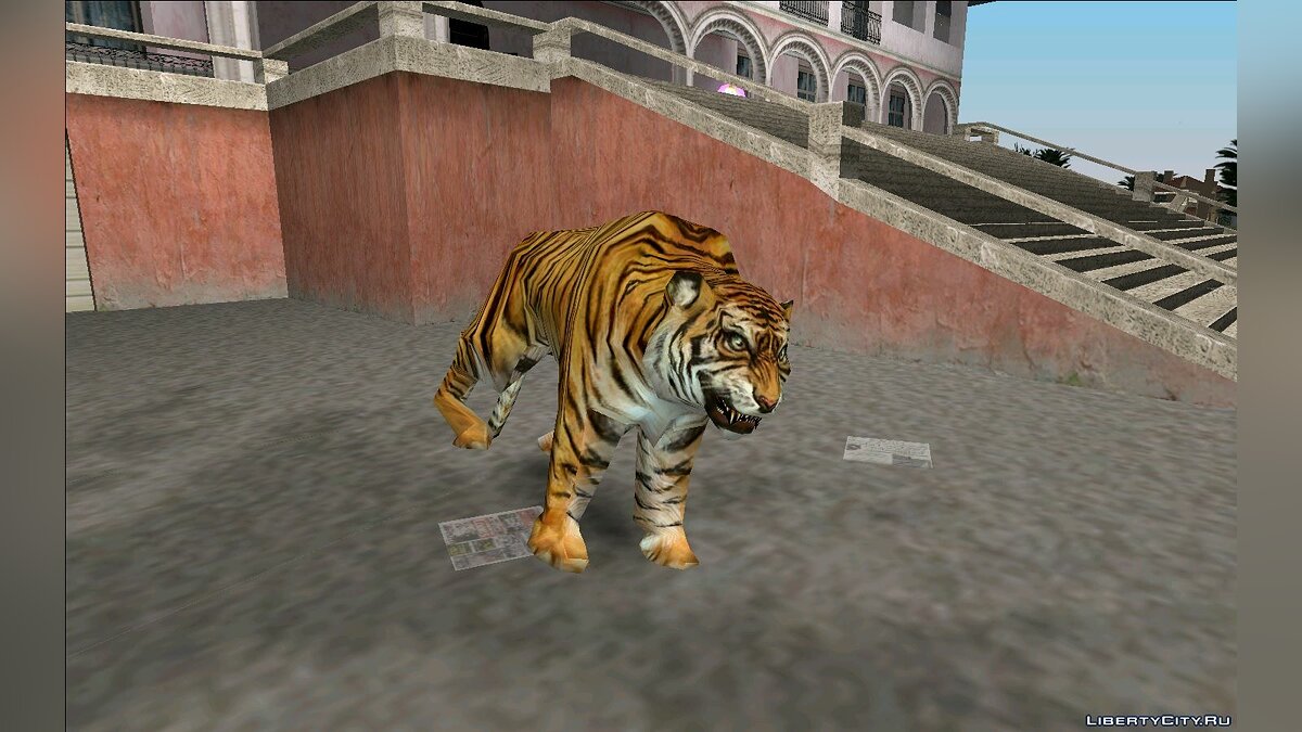 Tiger GTA - Tiger Racing