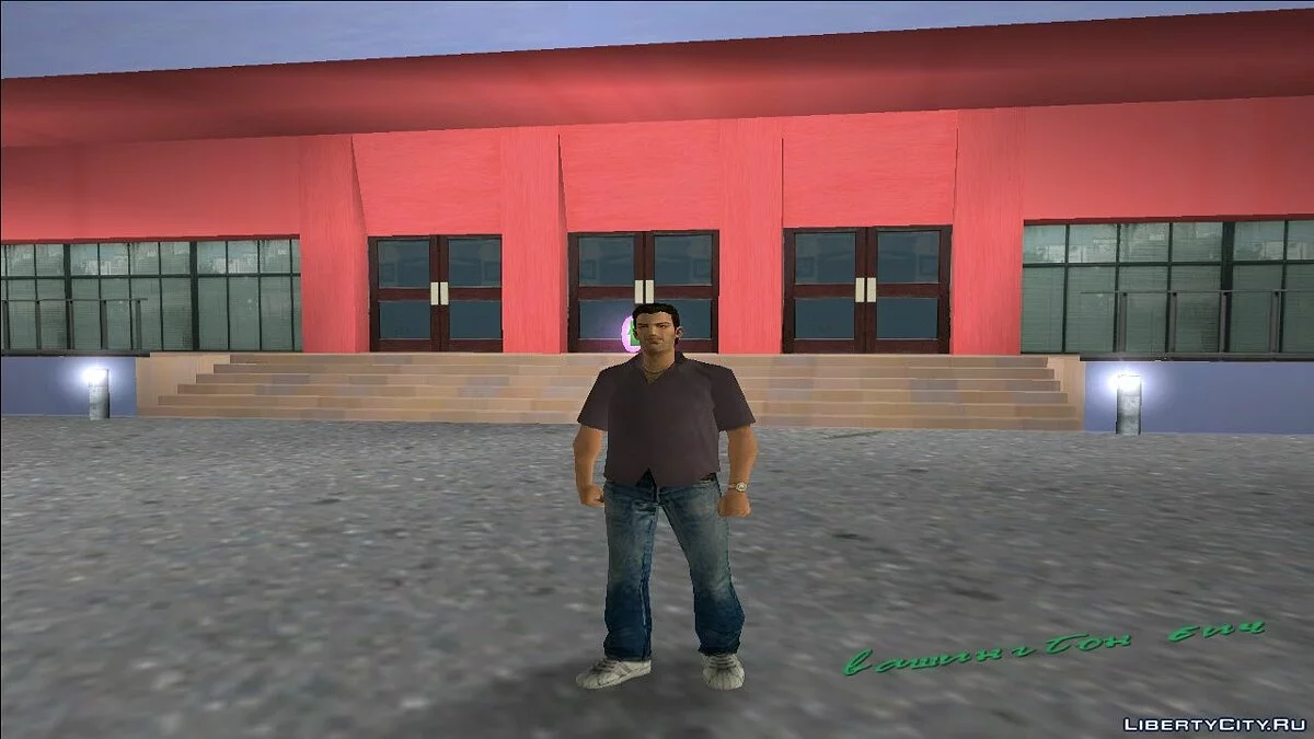 Pack de skins portables 1 / GTA Vice City