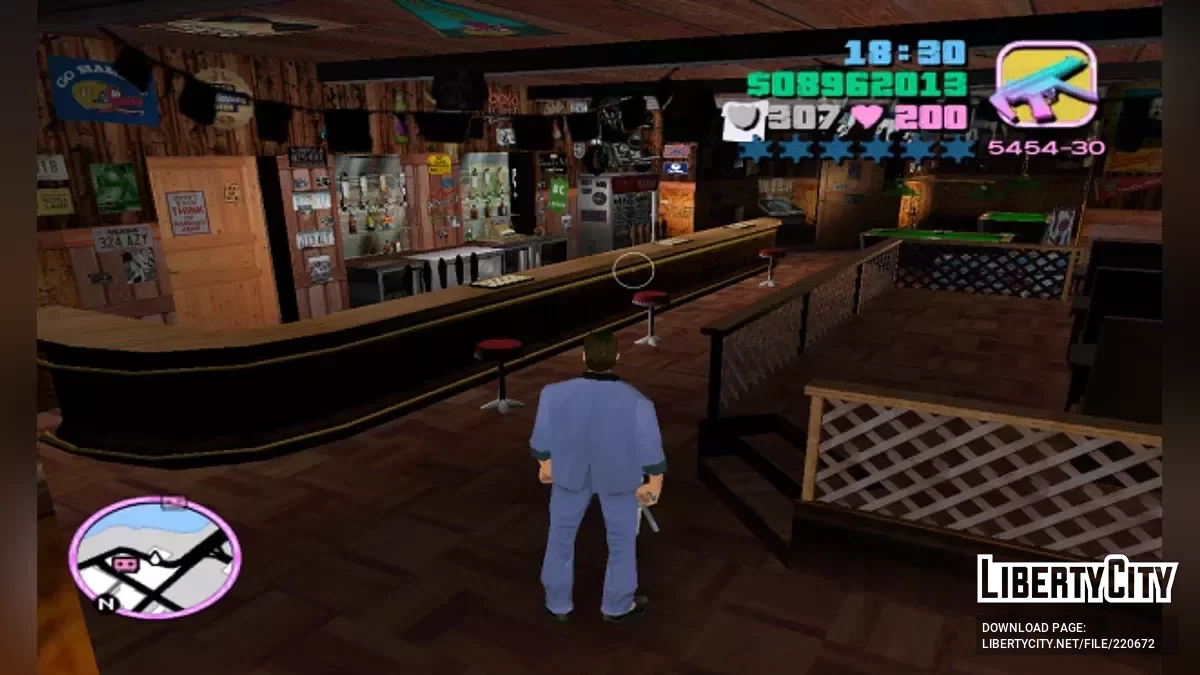 Functional Expansion / GTA Vice City