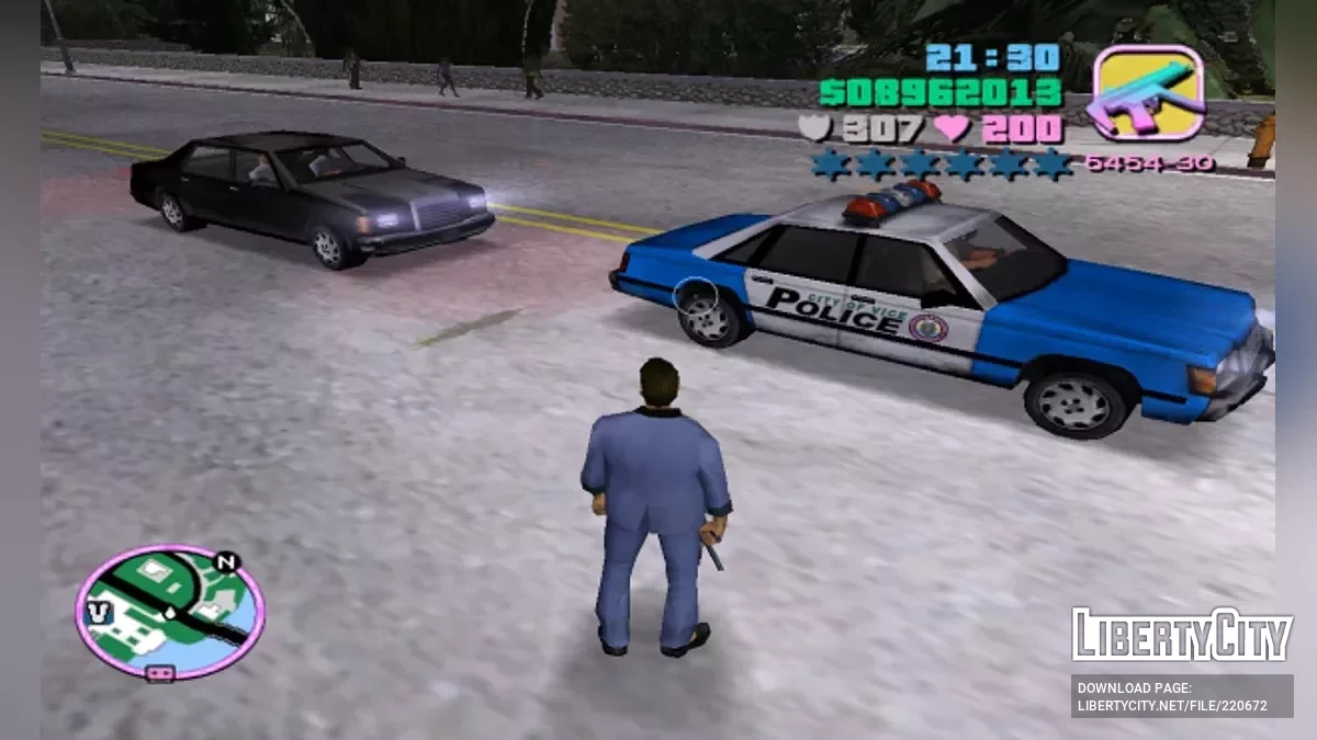 Functional Expansion / GTA Vice City