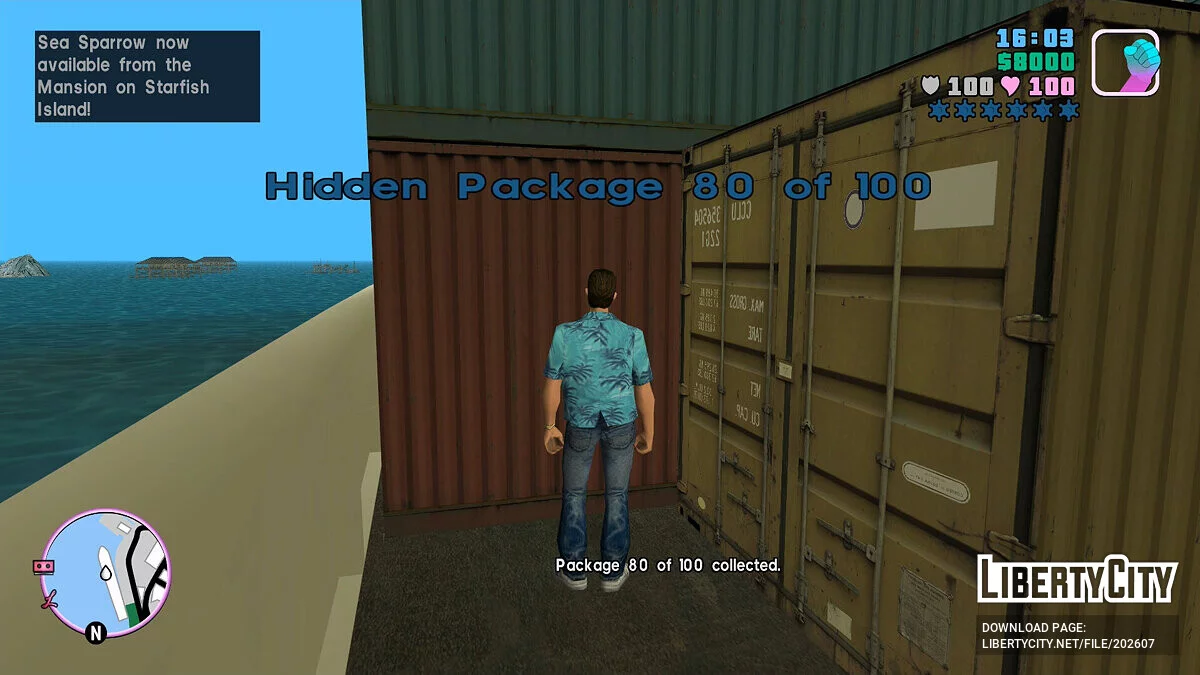 Teleport to the hidden packages / GTA Vice City