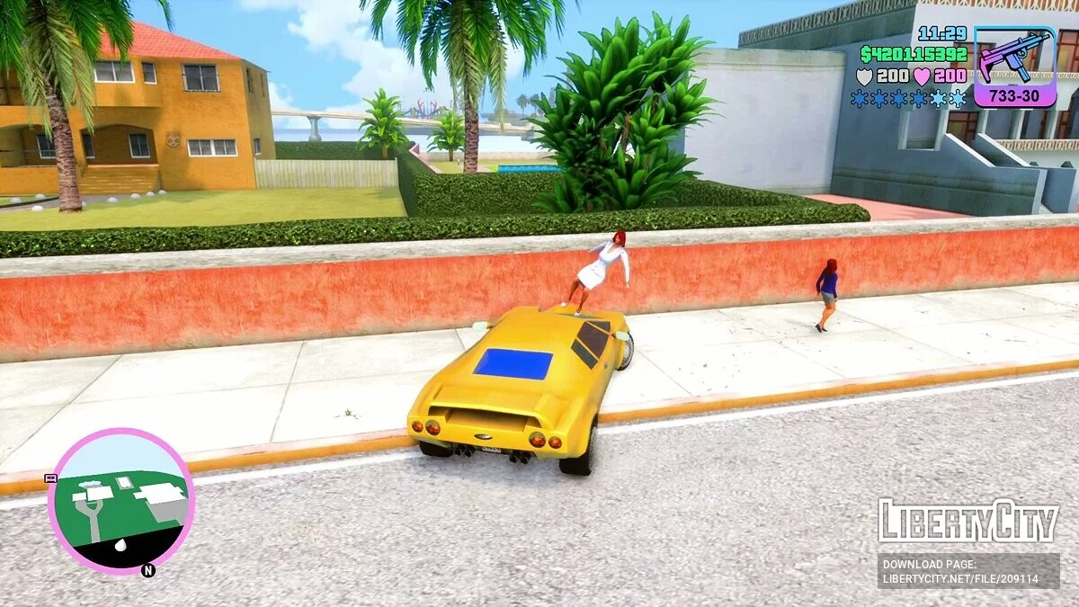 Euphoria Ragdoll Animation / GTA Vice City: The Definitive Edition
