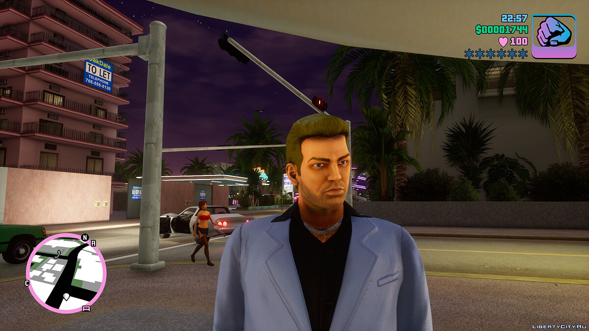 Download Standard Skin Wild for GTA Vice City: The Definitive Edition